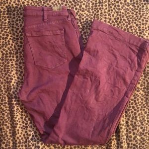 Ariat slim trouser